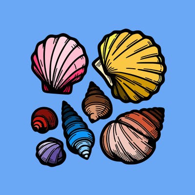 shells