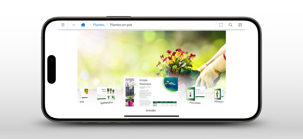 Okalys - Okalys mobile app interface showing a digital plant product catalog for sales representatives