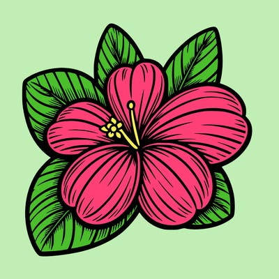 hawaiian flower