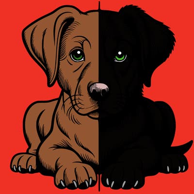 realistic dog split picture