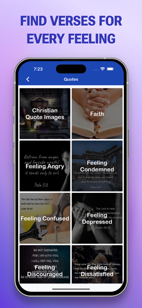 A mobile screen from The Message Bible Pro app displaying a grid of Bible verse categories organized by emotions like faith, anger, and depression.