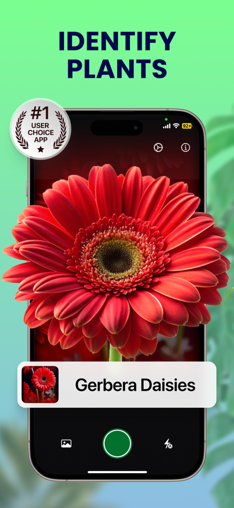 Plant ID - Identifier & Care - Plant ID app interface identifying a red Gerbera Daisy flower