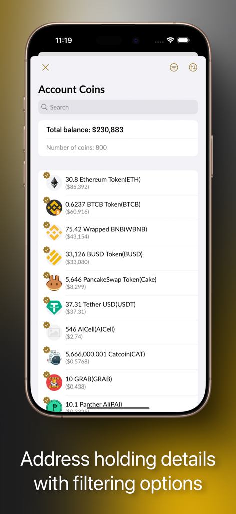 Binance Smart Chain Explorer app displaying crypto wallet coin holdings and total balance