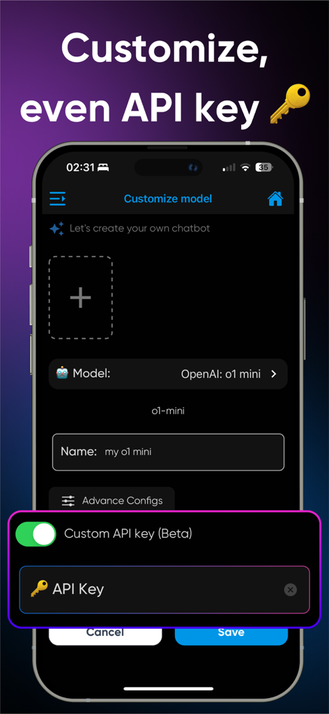 AI Hub: 50+ Open Source LLM - Screen showing customization options for an AI model including custom API key entry