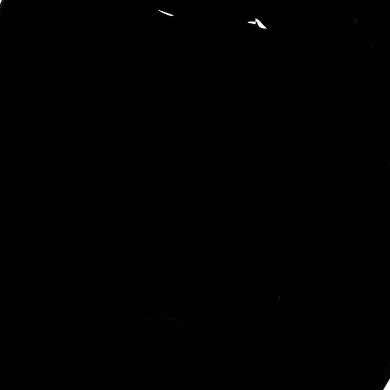 women's artistic gymnastics