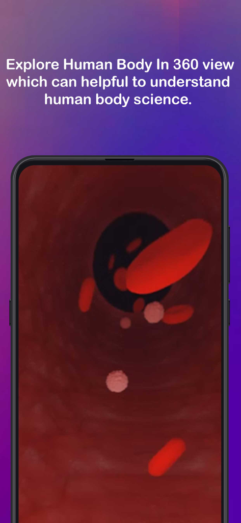 Anatomy AR 4Dアプリで、人間の血管内の赤血球の360度没入型ビュー