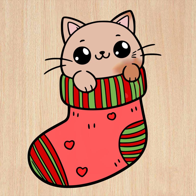 cute cat in a sock