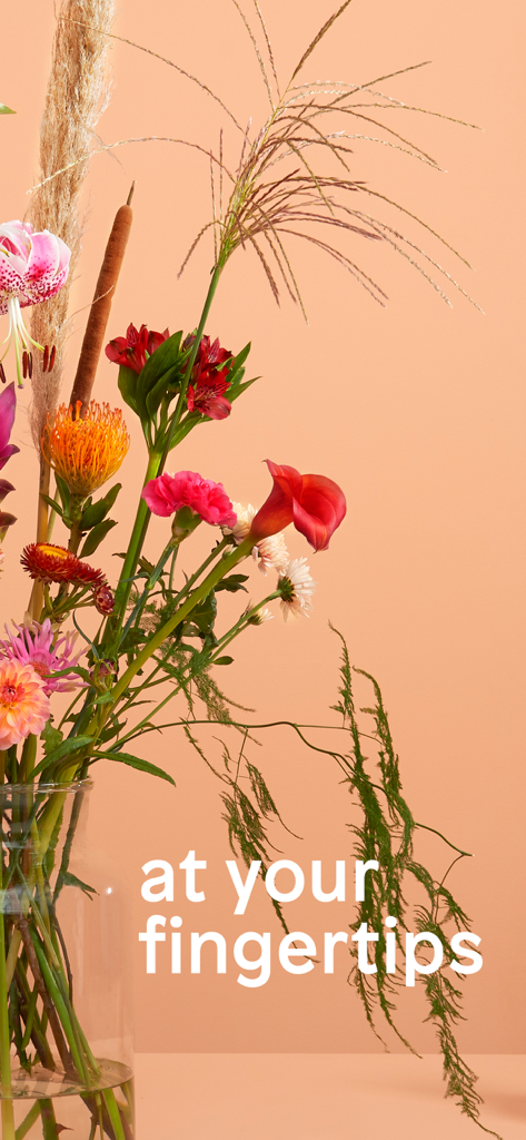 Colorful bouquet of fresh flowers with the text at your fingertips