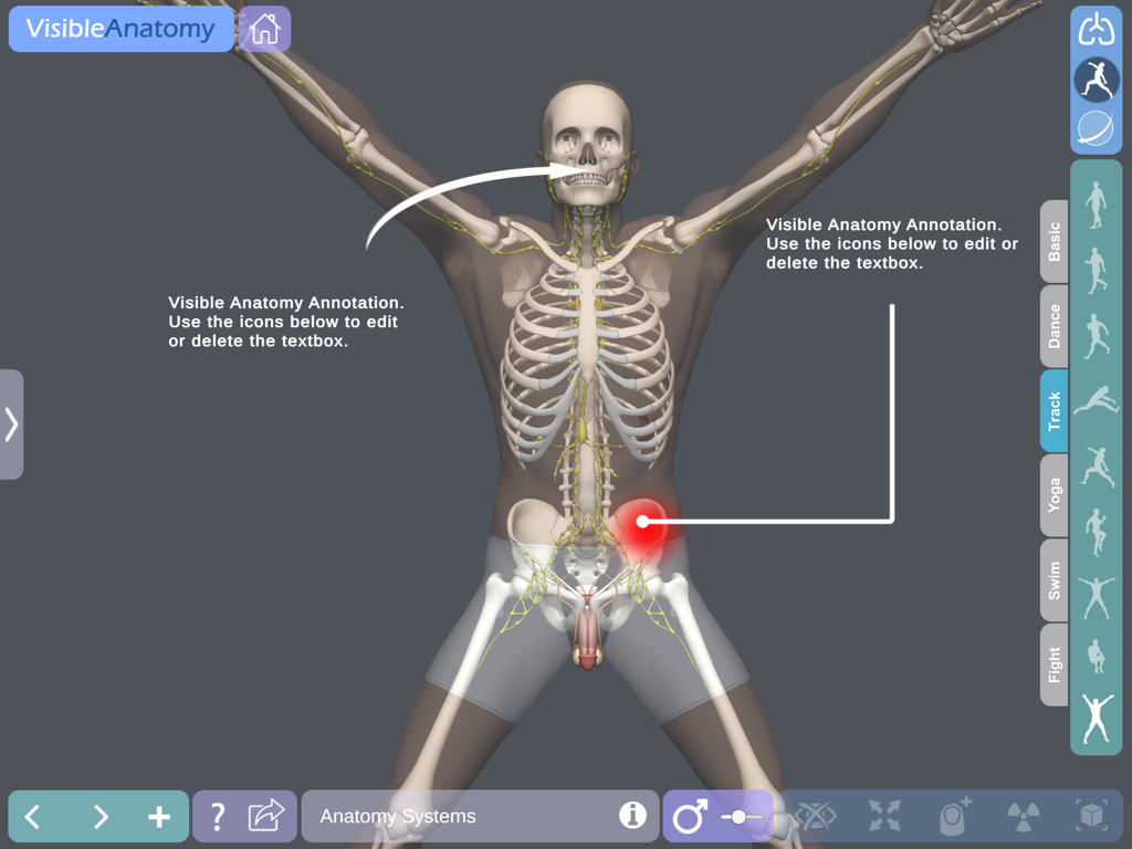 Visible Anatomy - Visible Anatomy app interface showing a 3D human body with skeletal and nervous systems and custom annotations
