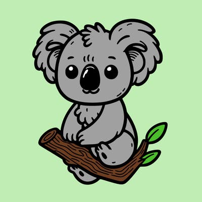 koala