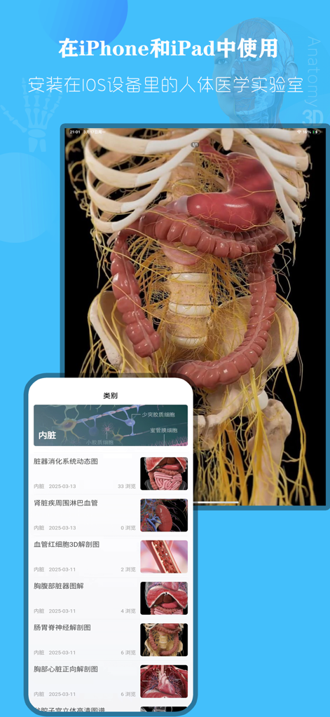 3D-Human-Anatomy-Atlas-Professional-Edition-App-Oberfläche mit einem Modell des Verdauungssystems auf einem iPhone und iPad.