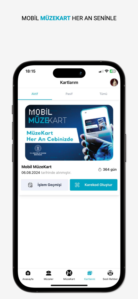 튀르키예 박물관 공식 모바일 앱의 디지털 박물관 패스 인터페이스