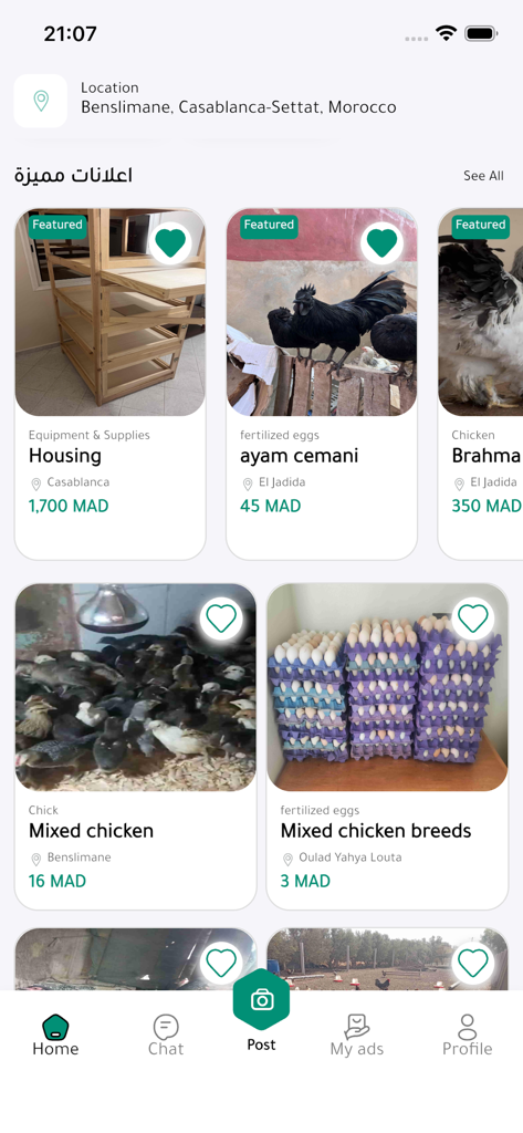 L'écran d'accueil de l'application Flipa montrant diverses annonces de volailles en vedette, comme des races de poulets, des œufs et du matériel.