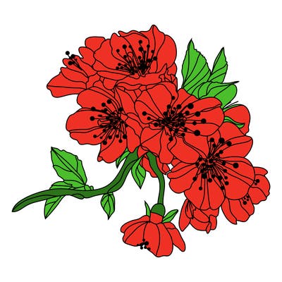 flowers_03