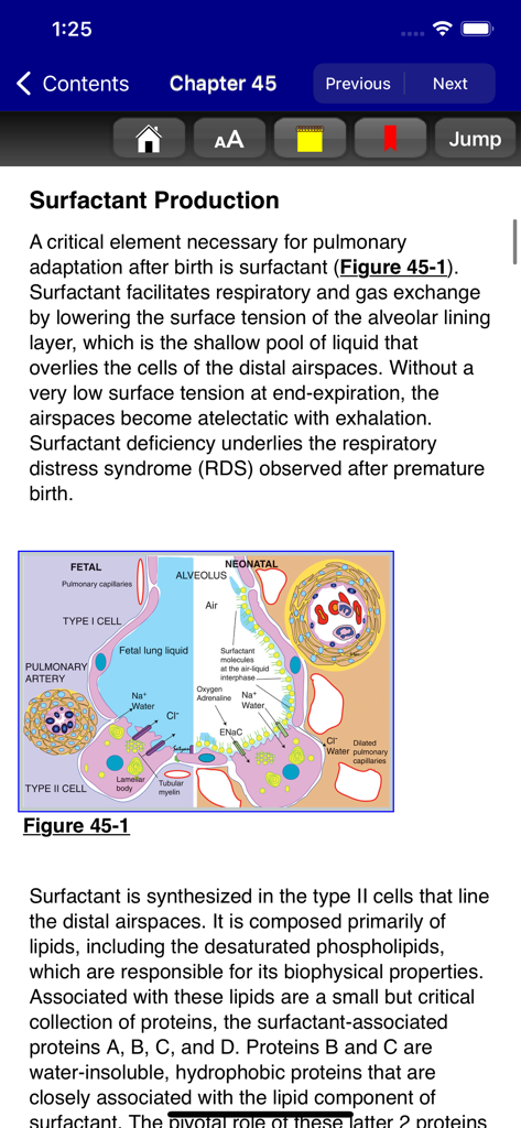 Rudolph's Pediatrics, 23/E - Medical textbook page on surfactant production with biological illustration within the Rudolphs Pediatrics app