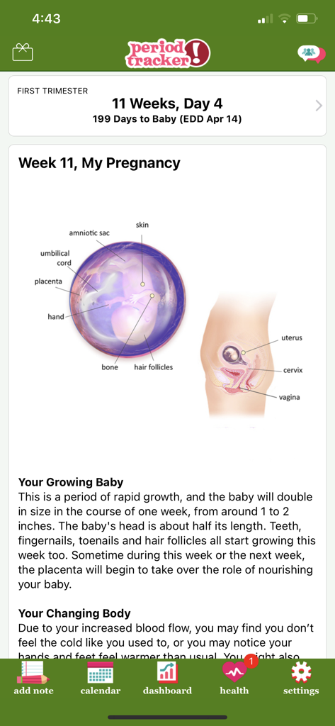 Pantalla de la aplicación Period Tracker que muestra el seguimiento del embarazo y el desarrollo fetal a las once semanas.