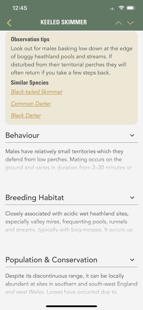 Dragonflies & Damselflies - Perfil detallado de la especie Keeled Skimmer en la aplicación Libélulas y Caballitos del Diablo.