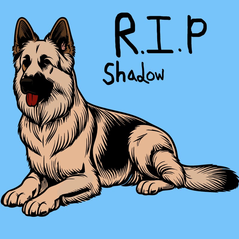 realistic german shepherd dog