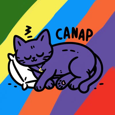 catnap