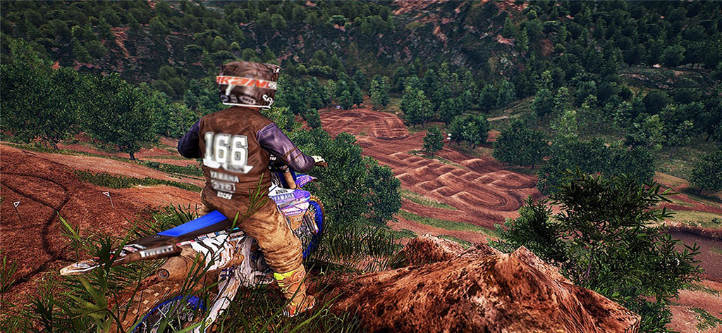 Freestyle Motocross Skill 3D - Um piloto de motocross em uma moto de sujeira observa uma pista de acrobacias em um vale de floresta exuberante.
