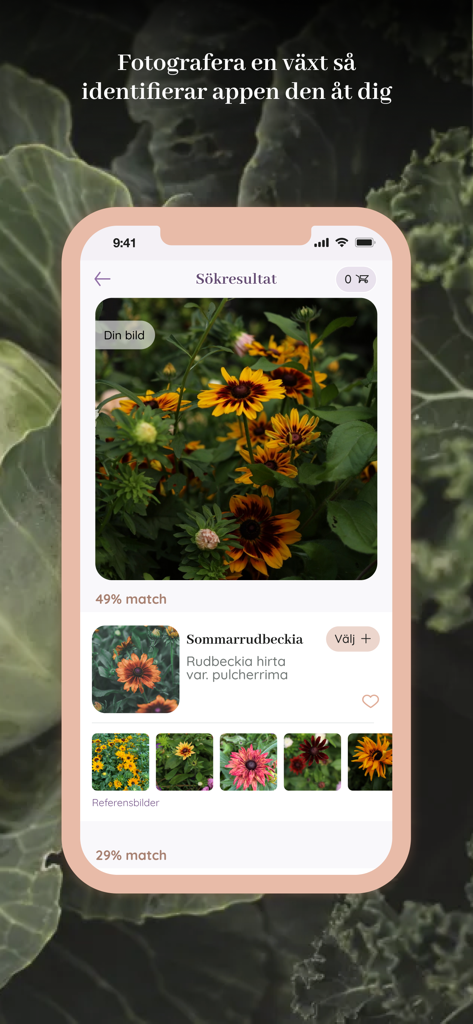 Oh Garden mobile App-Oberfläche, die ein Pflanzenidentifikationsergebnis für eine gelbe Blume namens Sommarrudbeckia mit Übereinstimmungsprozentsätzen und Referenzbildern anzeigt