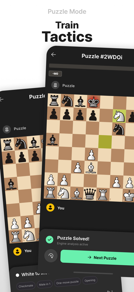 Interfaz del modo puzzle de la aplicación Lina Chess mostrando un puzzle de ajedrez resuelto y el modo de entrenamiento de tácticas.