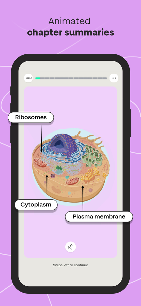 Sharpen - College Exam Prep - An animated biology chapter summary on the Sharpen app showing a diagram of a cell with labels for ribosomes cytoplasm and plasma membrane