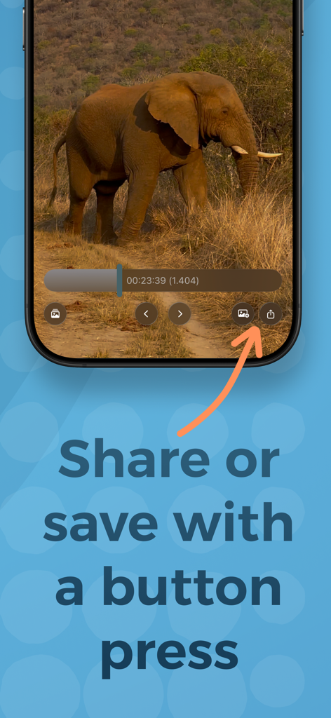 Freeze Frame! - Interface of the Freeze Frame app showing a video of an elephant with an arrow highlighting the share and save buttons