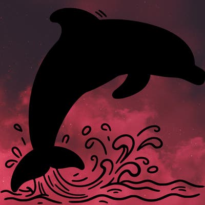 dolphin