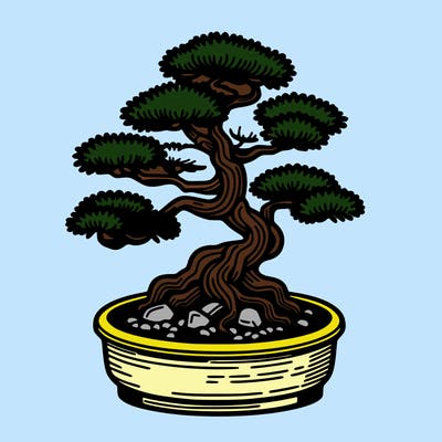 japan bonsai