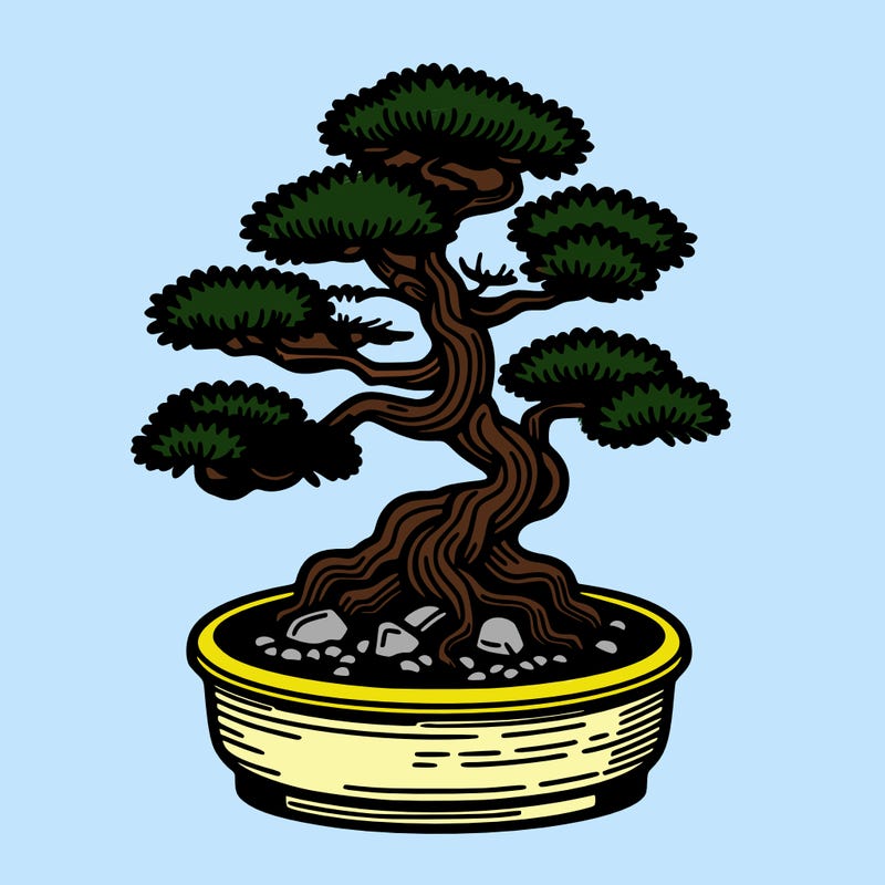 japan bonsai