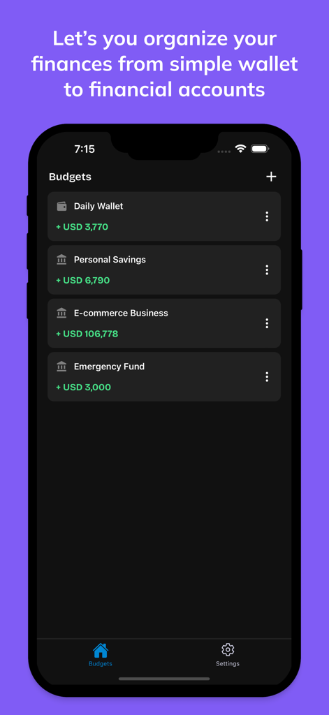 Interfaccia dell'app FreeBudget che mostra molteplici categorie finanziarie tra cui risparmi personali e fondi aziendali.