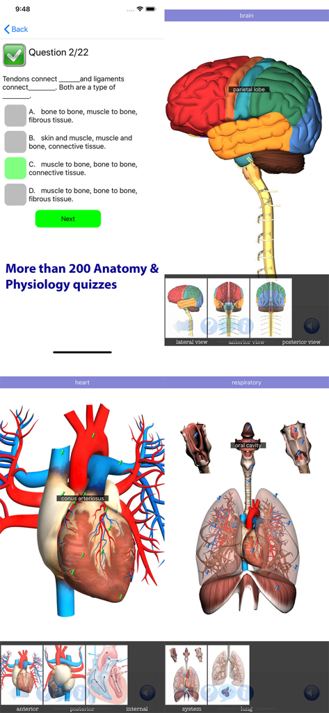 Visual Anatomy Lite - Visual Anatomy Lite app screenshots featuring medical quizzes and 3D anatomical models of the brain, heart, and respiratory system