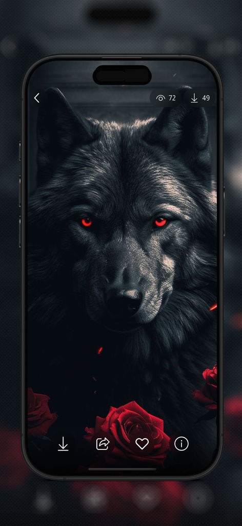 Wolf Wallpapers 4K - Graphics & Design App | MWM