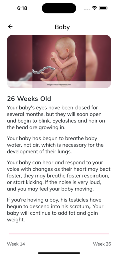Pregnancy tracker showing fetal development at 26 weeks