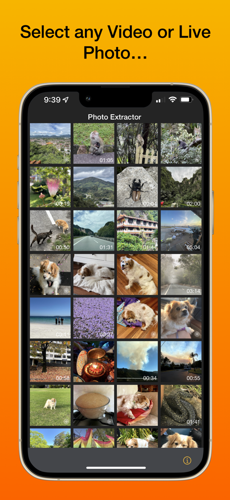 Photo Extractor - Interface showing a grid of videos and live photos for selection in the Photo Extractor app