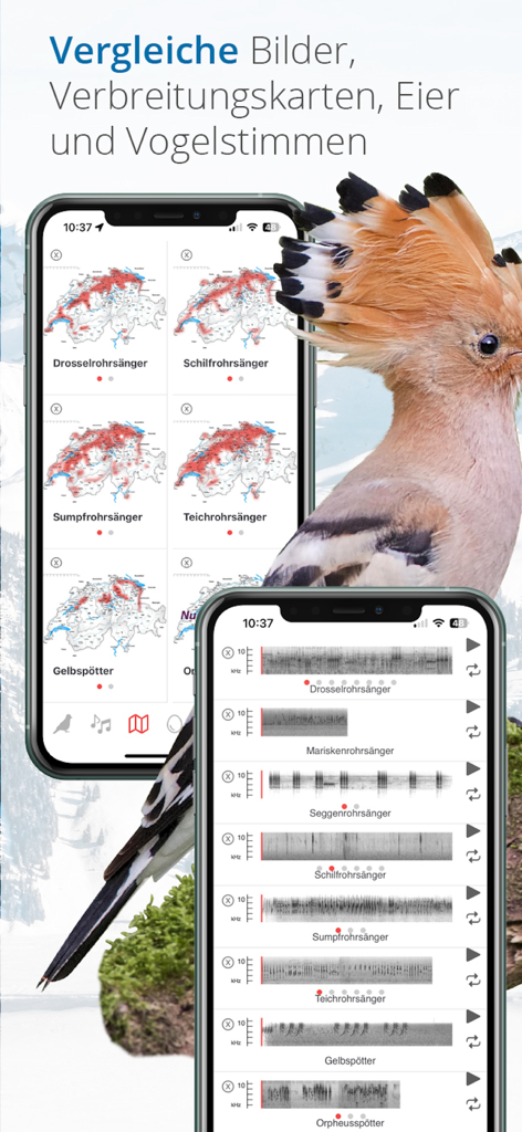 Écrans d'application mobile montrant des cartes de répartition des oiseaux et des enregistrements audio pour l'identification.