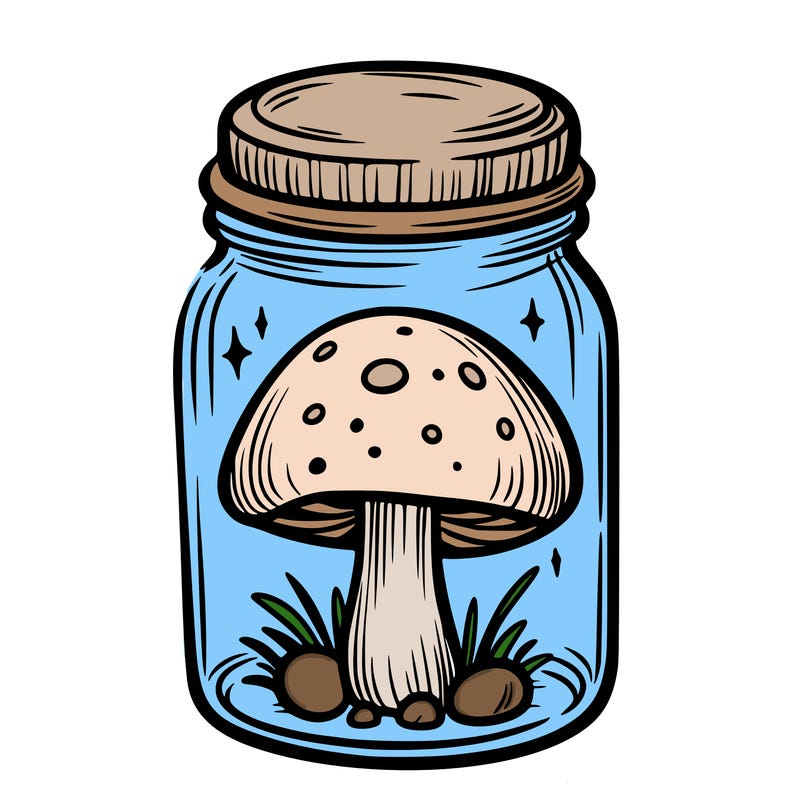 mushroom in jar