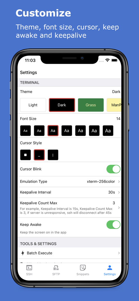 xTerminal app settings screen for customizing terminal themes and font size