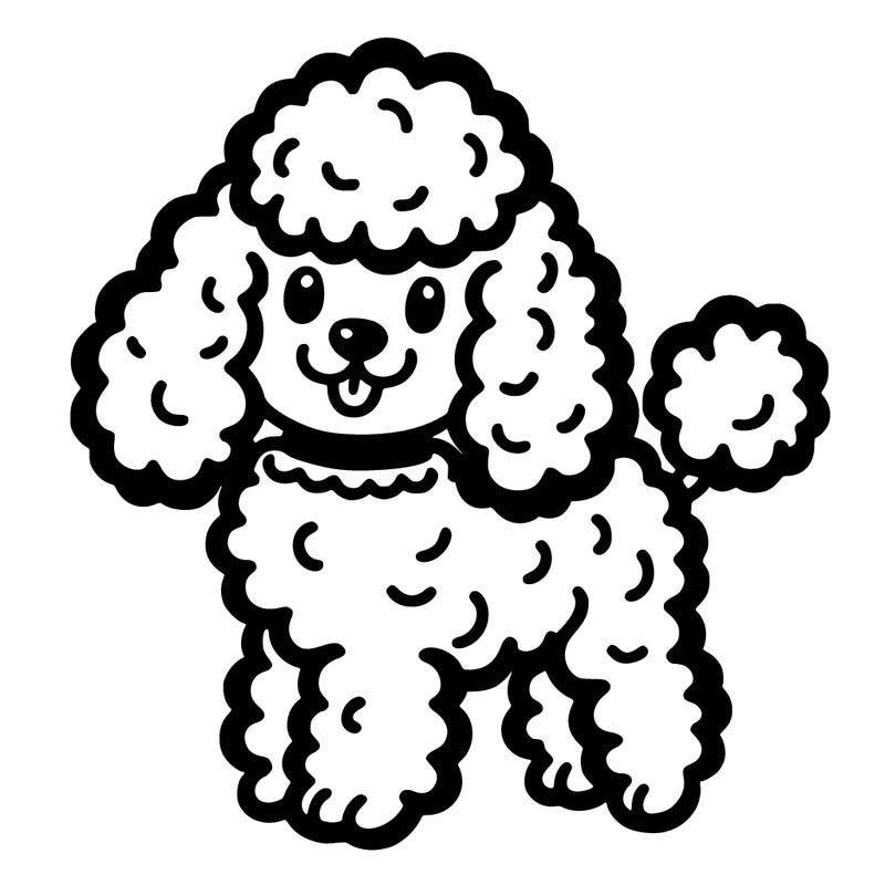 poodle dog