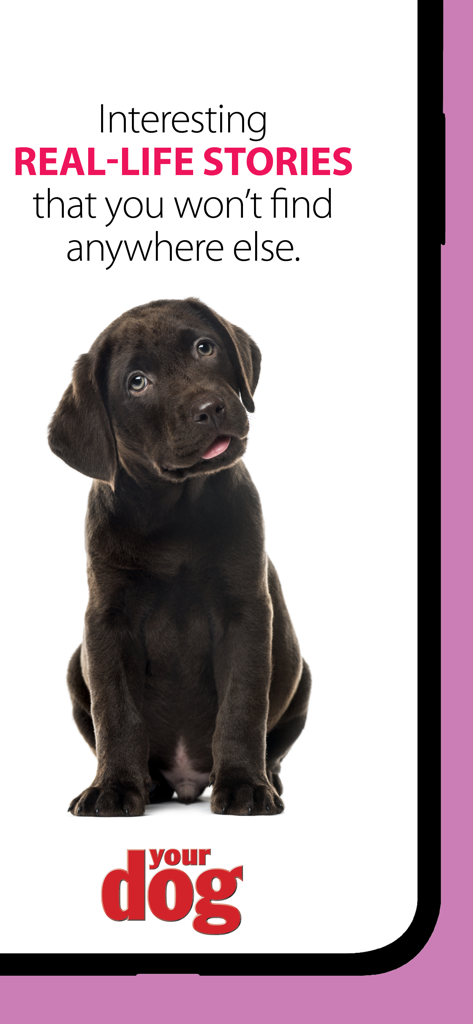 Your Dog - Your Dog magazine app screenshot featuring a black Labrador puppy and promotional text for real-life stories.
