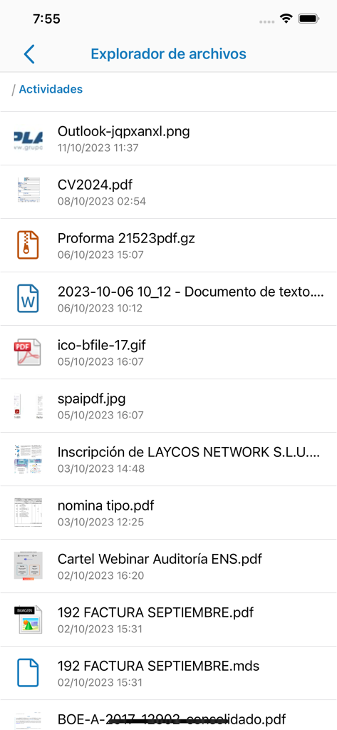 Explorador de archivos de la aplicación Laycos mostrando una lista de documentos e imágenes compartidos.