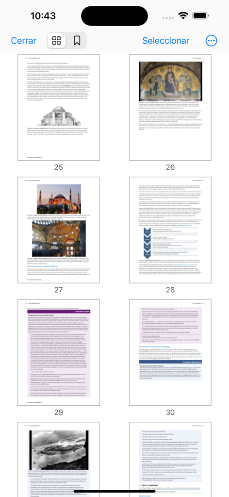 Grid view of document pages for easy navigation in the Books Pro app