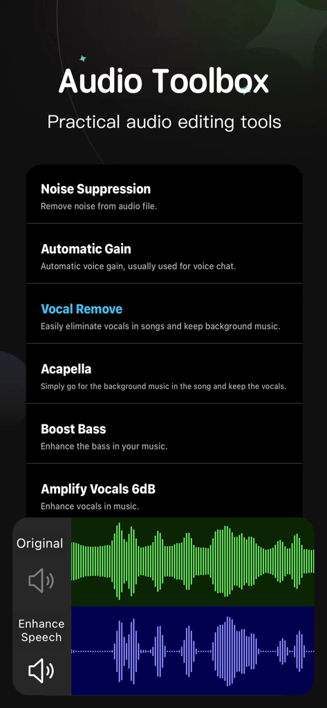 Audio Toolbox screen showcasing features like noise suppression vocal removal and waveform editing for mobile music production