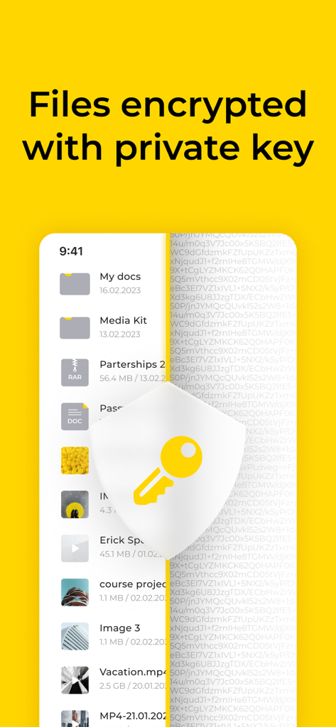 DeNet Storage & Watcher Node - DeNet app interface showing a list of stored files with a protective shield and key icon representing private key encryption