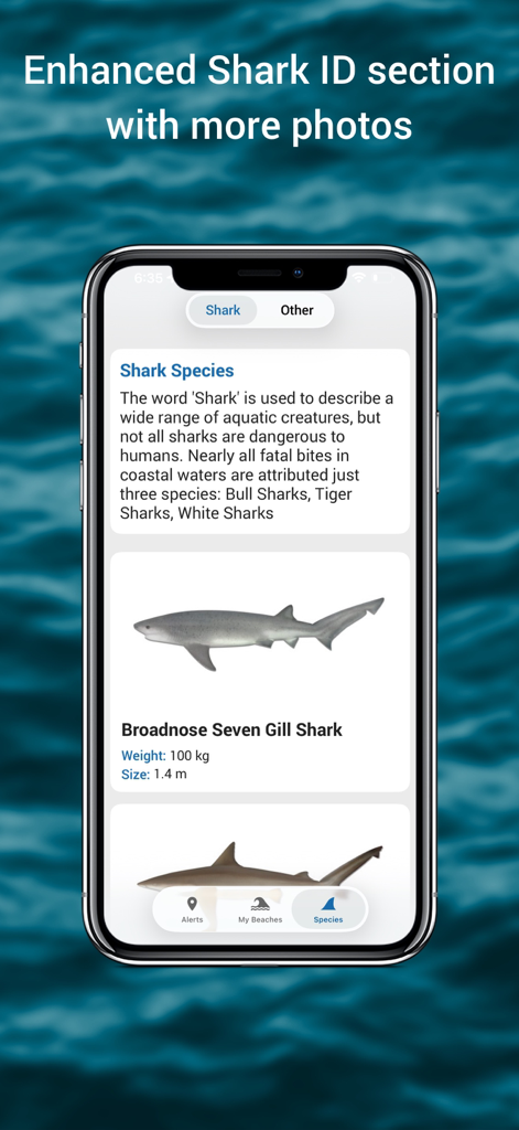 Shark identification screen in the SharkSmart app showing species details and photos