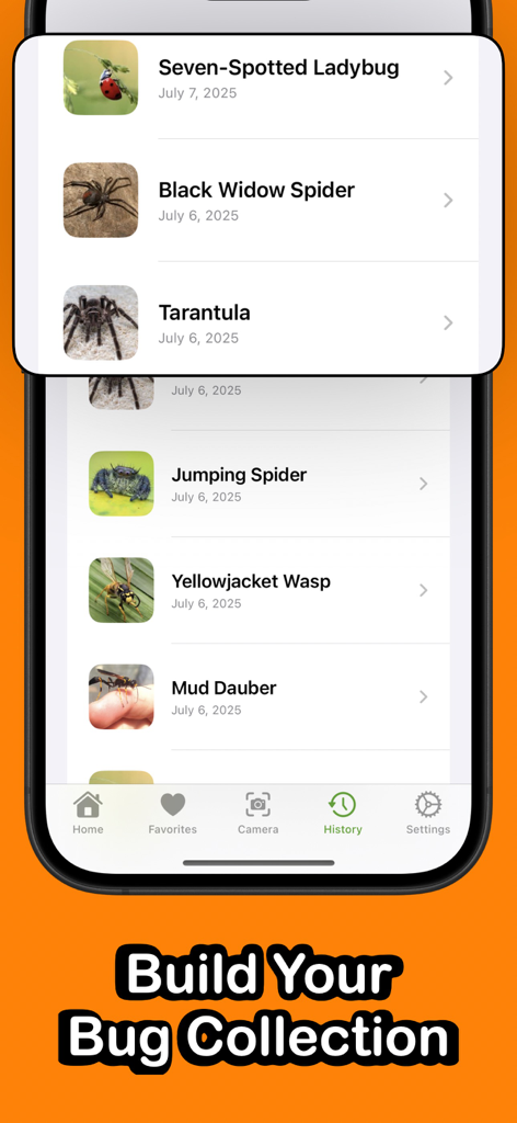 Bug Identifier - BugSnap - Reference App | MWM