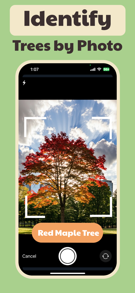 Tree Identifier・Nature Scanner - Interface of the Tree Identifier app identifying a red maple tree using AI scanning technology