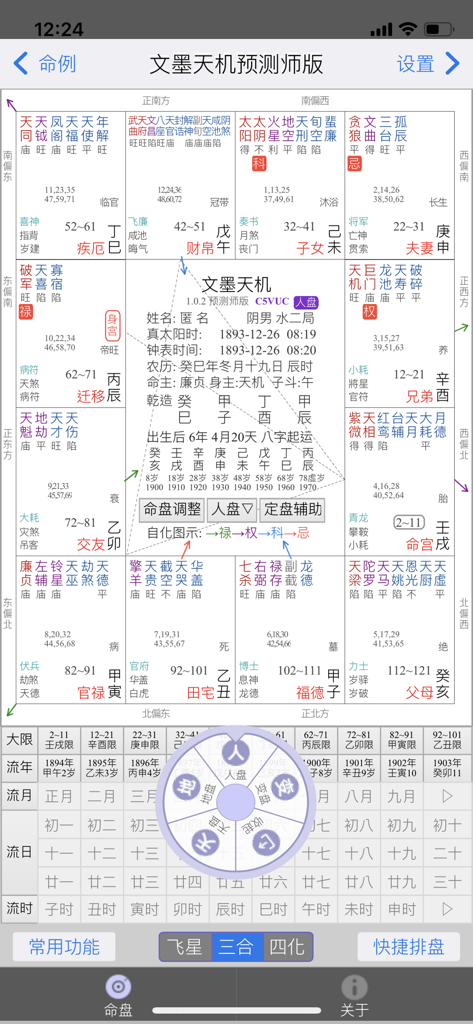 Professional Zi Wei Dou Shu astrology chart interface in Wenmo Tianji app