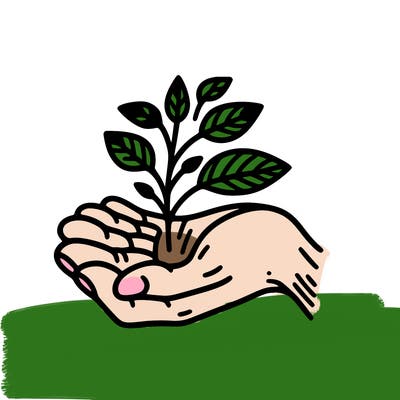 hand with plant